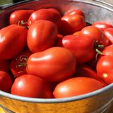 Насіння томатів Де Барао гігант червоний 0,1 г - купити | Good Harvest