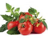 Семена томатов Весенние заморозки Солнечный март, 100 шт - купить | Good Harvest