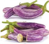Семена баклажанов Грецкие Цаконики 30 шт - купить | Good Harvest