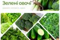 Чи корисні зелені овочі? дізнатися більше