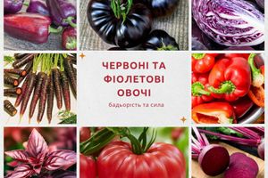 Червоні і фіолетові овочі: ваша бадьорість і сила дізнатися більше