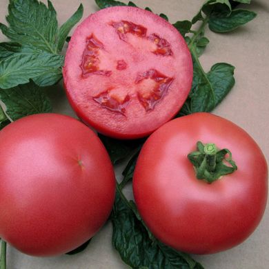Насіння томатів ВП-1 F1 Алезі Vilmorin Садиба Центр 8 шт 11.2480 фото
