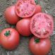 Насіння томатів ВП-1 F1 Алезі Vilmorin Садиба Центр 8 шт