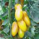 Семена томатов Банан золотой 0,1 г