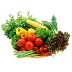 Інтернет магазин Насіння овочів — купити в інтернет магазині Good Harvest