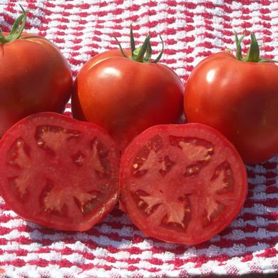 Насіння томатів Ламантин F1 Nunhems Zaden, Агропак 10 шт 11.2264 фото