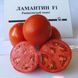 Насіння томатів Ламантин F1 Nunhems Zaden, Агропак 10 шт