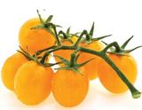 Насіння томатів Де Барао помаранчевий Сонячний Березень 25 шт - купити | Good Harvest