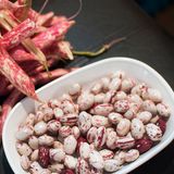 Насіння квасолі на зерно Перлина кущова Яскрава 20 г - купить | Good Harvest
