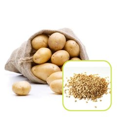 Семена картофеля Фермер 0,01 г 11.1032 фото