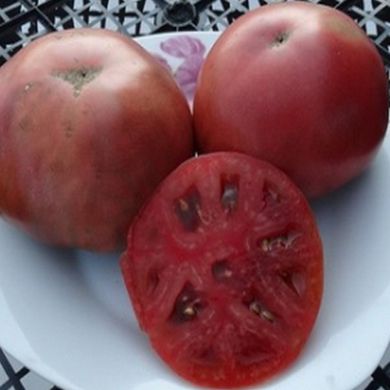 Семена томатов Шоколадная амазонка Gl Seeds 0,1 г 11.1310 фото