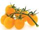 Насіння томатів Де Барао помаранчевий Сонячний Березень 25 шт