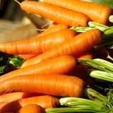 Насіння моркви Долянка Яскрава 3 г - купить | Good Harvest