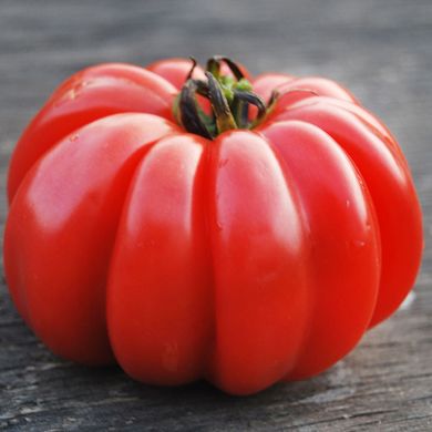 Насіння томатів Грибне лукошко Gl Seeds 0,1 г 11.1278 фото
