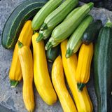 Семена кабачков Веселая семейка смесь сортов Агромакси 2 г - купить | Good Harvest