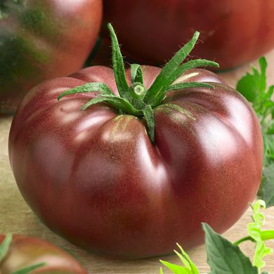 Насіння томатів Мулатка Садиба 5 г 11.2497 фото