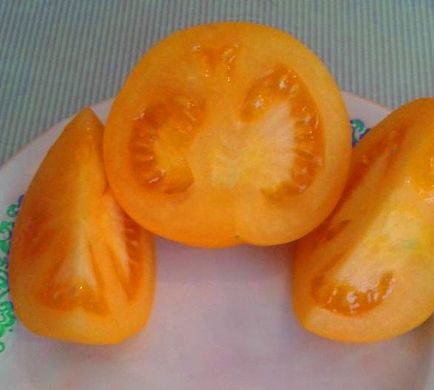 Насіння томатів Апельсин Gl Seeds 0,1 г 11.1987 фото