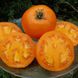 Семена томатов Апельсин Gl Seeds 0,1 г