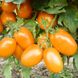 Насіння томатів Де Барао помаранчевий , 0,1 г