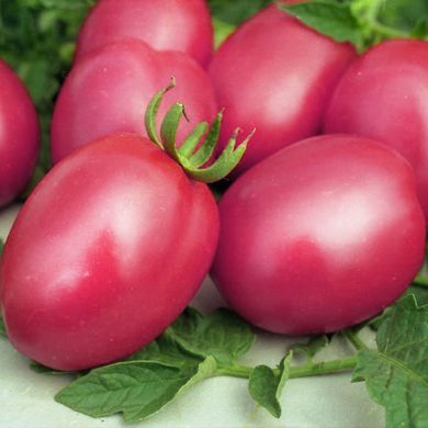 Насіння томатів Де Барао рожевий 0,1 г 11.1366 фото
