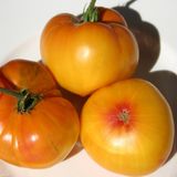 Насіння томатів Зірка Техасу Сонячний Март 12 шт - купить | Good Harvest