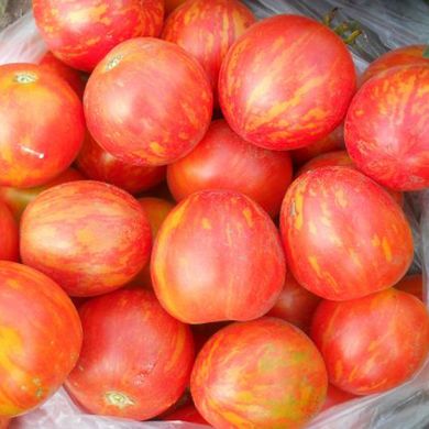 Семена томатов Амурский тигр 0,1 г 11.0590 фото