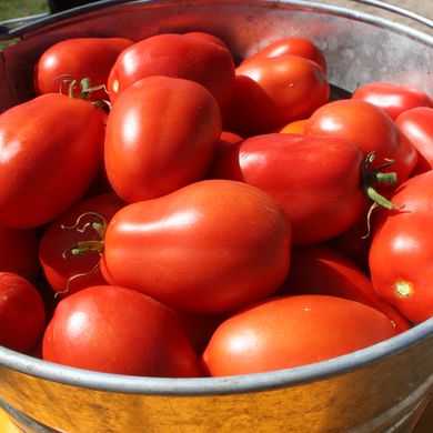 Семена томатов Де Барао гигант красный 0,1 г 11.2272 фото