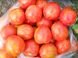 Семена томатов Амурский тигр 0,1 г