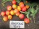 Насіння томатів Амурський тигр 0,1 г