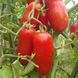 Семена томатов Непасынкующийся засолочный безрассадный Агромакси 0,4 г