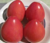 Насіння томатів Фатіма 0,1 г - купить | Good Harvest