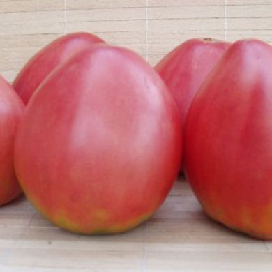 Насіння томатів Фатіма 0,1 г 11.1300 фото