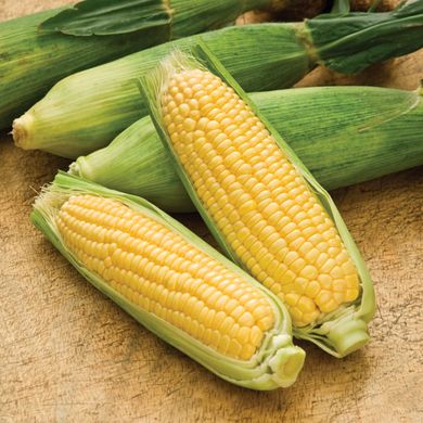 Семена кукурузы Суперранняя Мираж 20 г 11.1042 фото