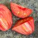 Семена томатов Иерусалим Солнечный Март 25 шт