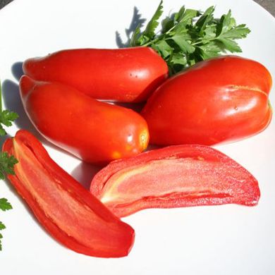 Насіння томатів Перцевидний 10 г 11.2289 фото
