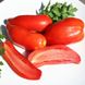 Насіння томатів Перцевидний 10 г