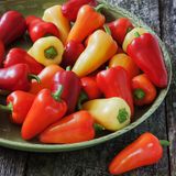 Семена перца Ассорти паприки 100 шт Солнечный март - купить | Good Harvest
