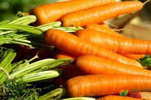 Сортотипы моркови узнать больше