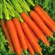 Насіння моркви Голландка 2 г