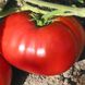 Насіння томатів Деліціозус 0,1 г