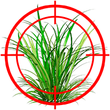 Защита растений Гербициды от сорняков — купить в интернет магазине Good Harvest