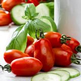 Семена томатов Инкас F1 Nunhems Zaden Садыба 20 шт - купить | Good Harvest