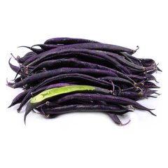 Семена фасоли спаржевая фиолетовая Блаухильде вьющаяся 10 г 11.1597 фото