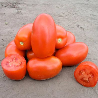 Насіння томатів Класик F1 Nunhems Zaden Садиба 10 шт 11.2280 фото