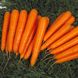 Насіння моркви Лагуна F1 Nunhems Zaden 400 шт