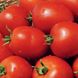 Насіння томатів Наміб F1 Syngenta Агропак 10 шт
