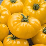 Насіння томатів У десятку Агромаксі 0,4 г - купить | Good Harvest