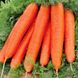 Семена моркови Ланге Роте Штумпфе 2 г