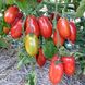 Насіння томатів Марцано нано Legutko Агропакгруп 0,2 г