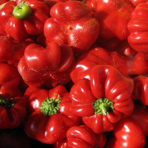 Семена перца Тореадор Ред Anseme 0,2 г 11.0098 фото